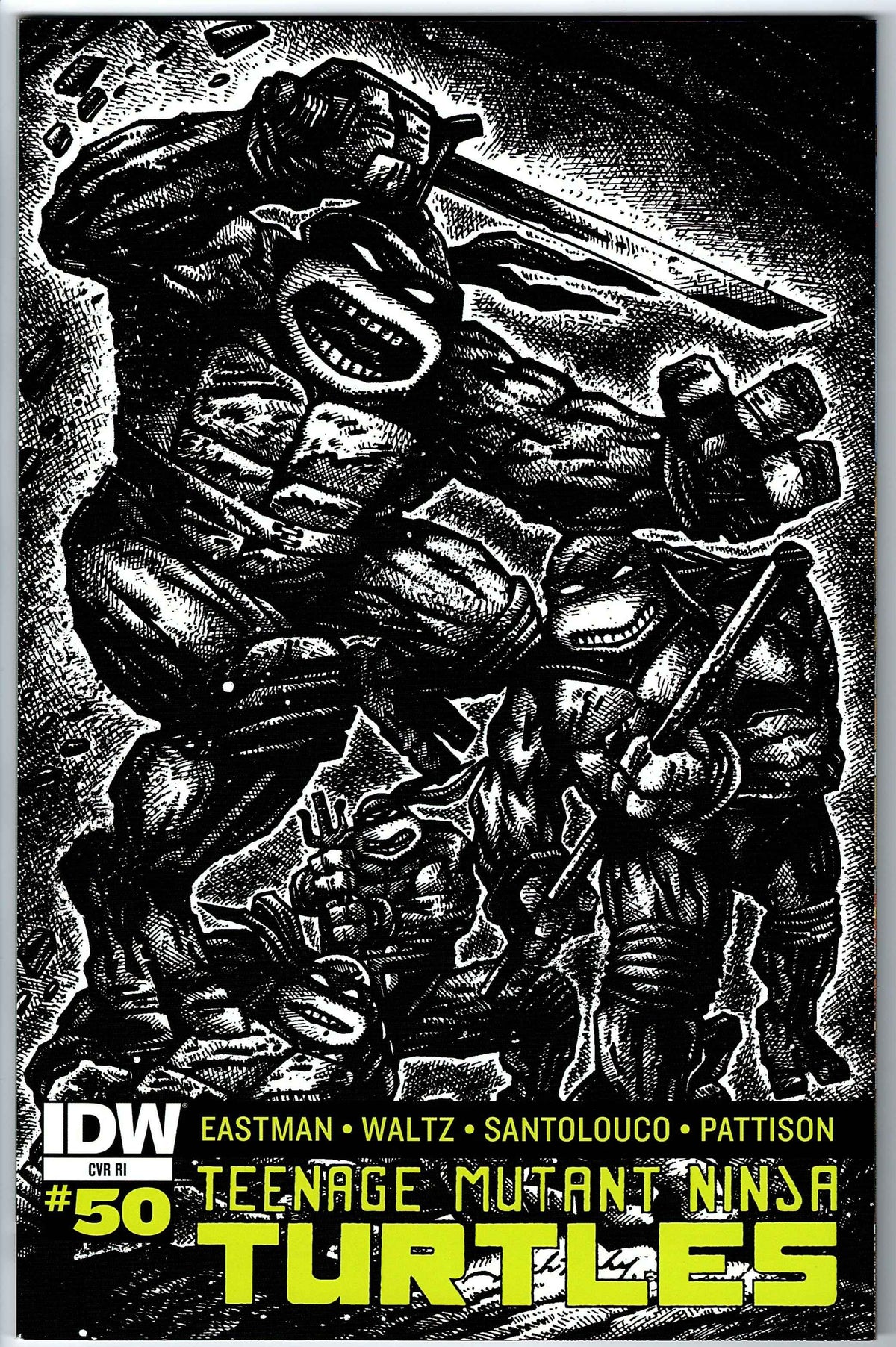Teenage Mutant Ninja Turtles #50 CVR RI (2011 series)