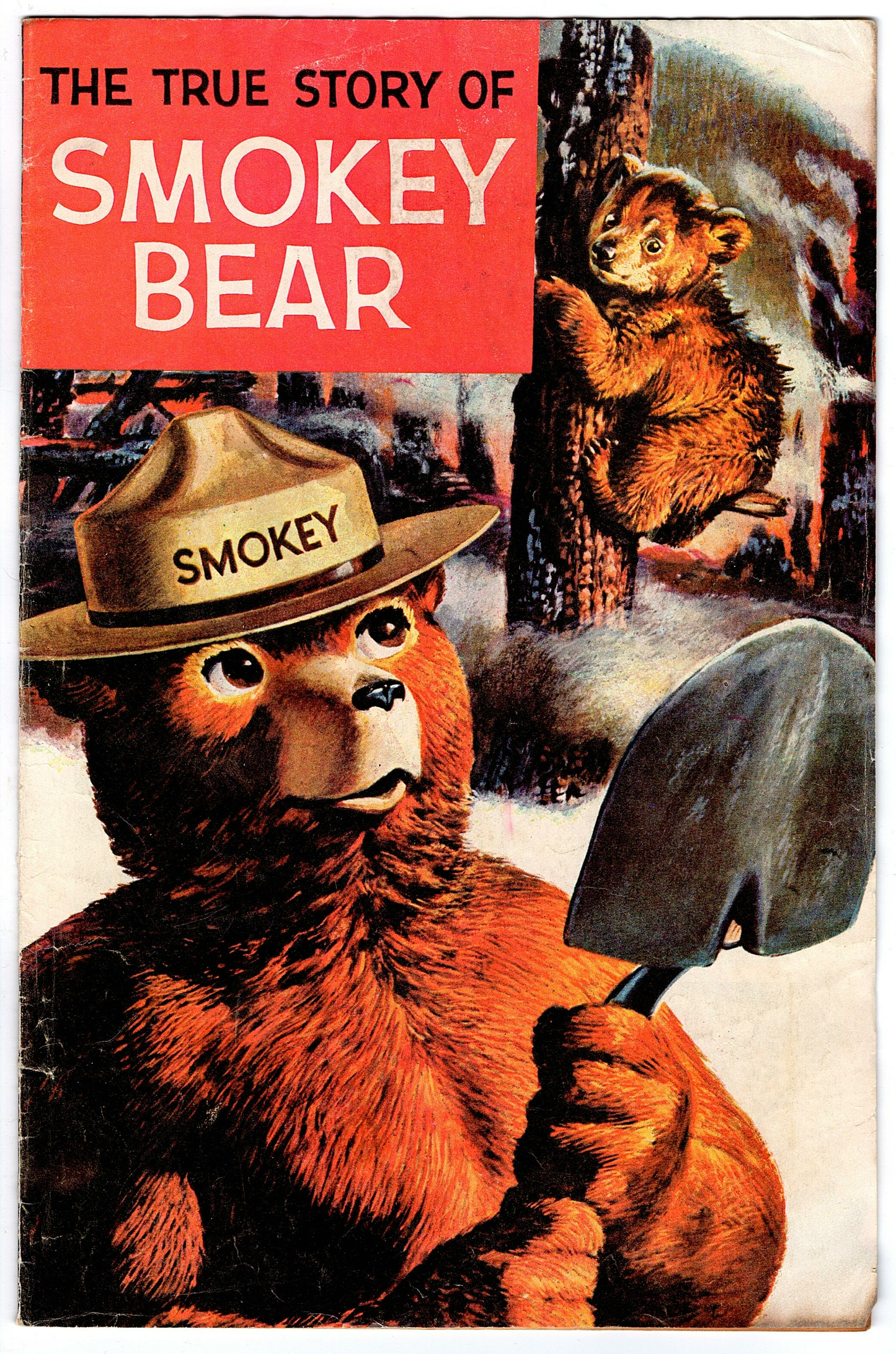 The True Story of Smokey Bear #1