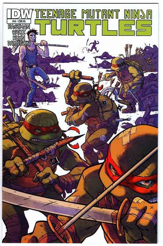 Teenage Mutant Ninja Turtles #14 Cvr RI (2011 series)