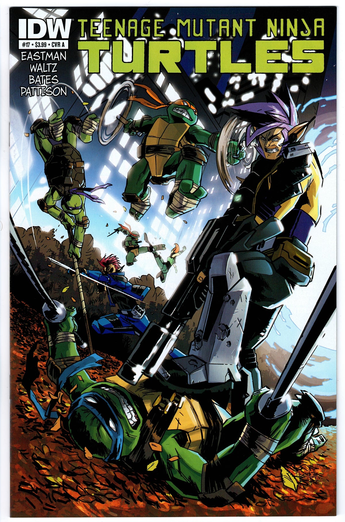 Teenage Mutant Ninja Turtles #17 Cvr A (2011 series)