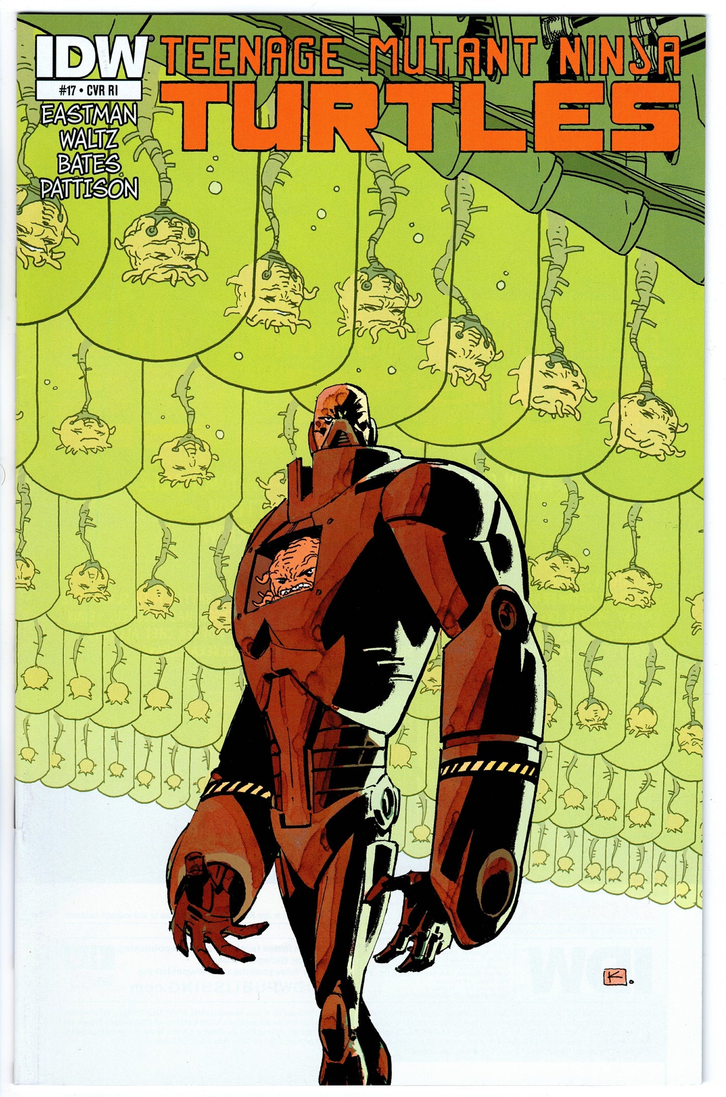 Teenage Mutant Ninja Turtles #17 Cvr RI (2011 series)