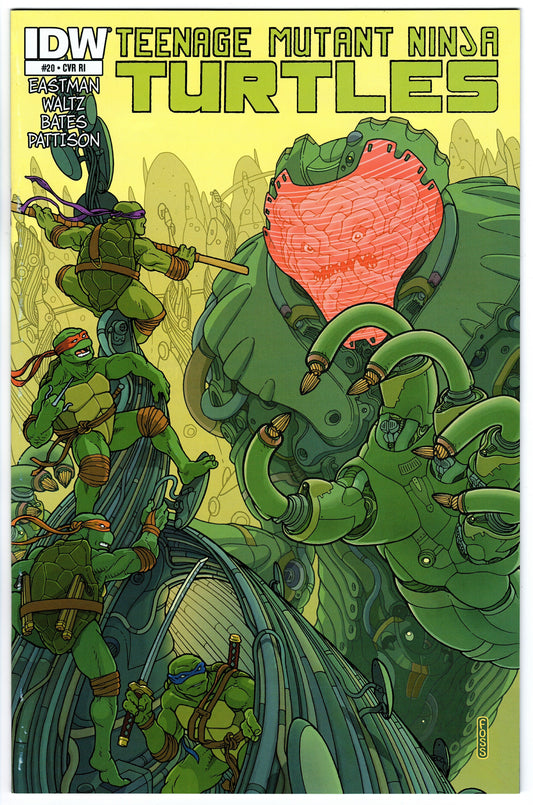 Teenage Mutant Ninja Turtles #20 Cvr RI (2011 series)