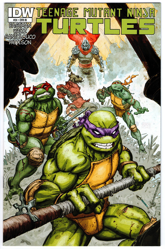 Teenage Mutant Ninja Turtles #24 Cvr RI (2011 series)