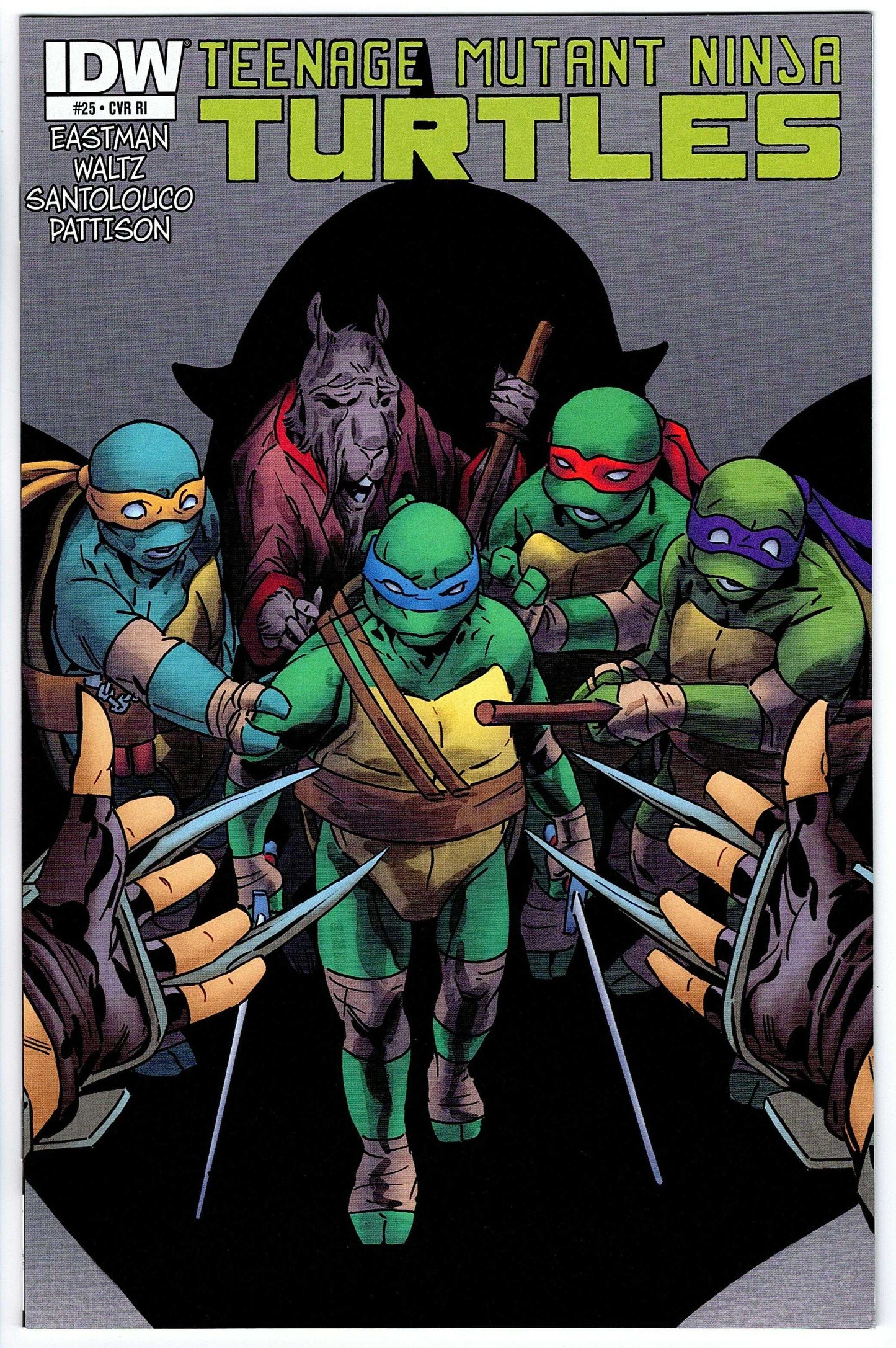 Teenage Mutant Ninja Turtles #25 Cvr RI (2011 series)