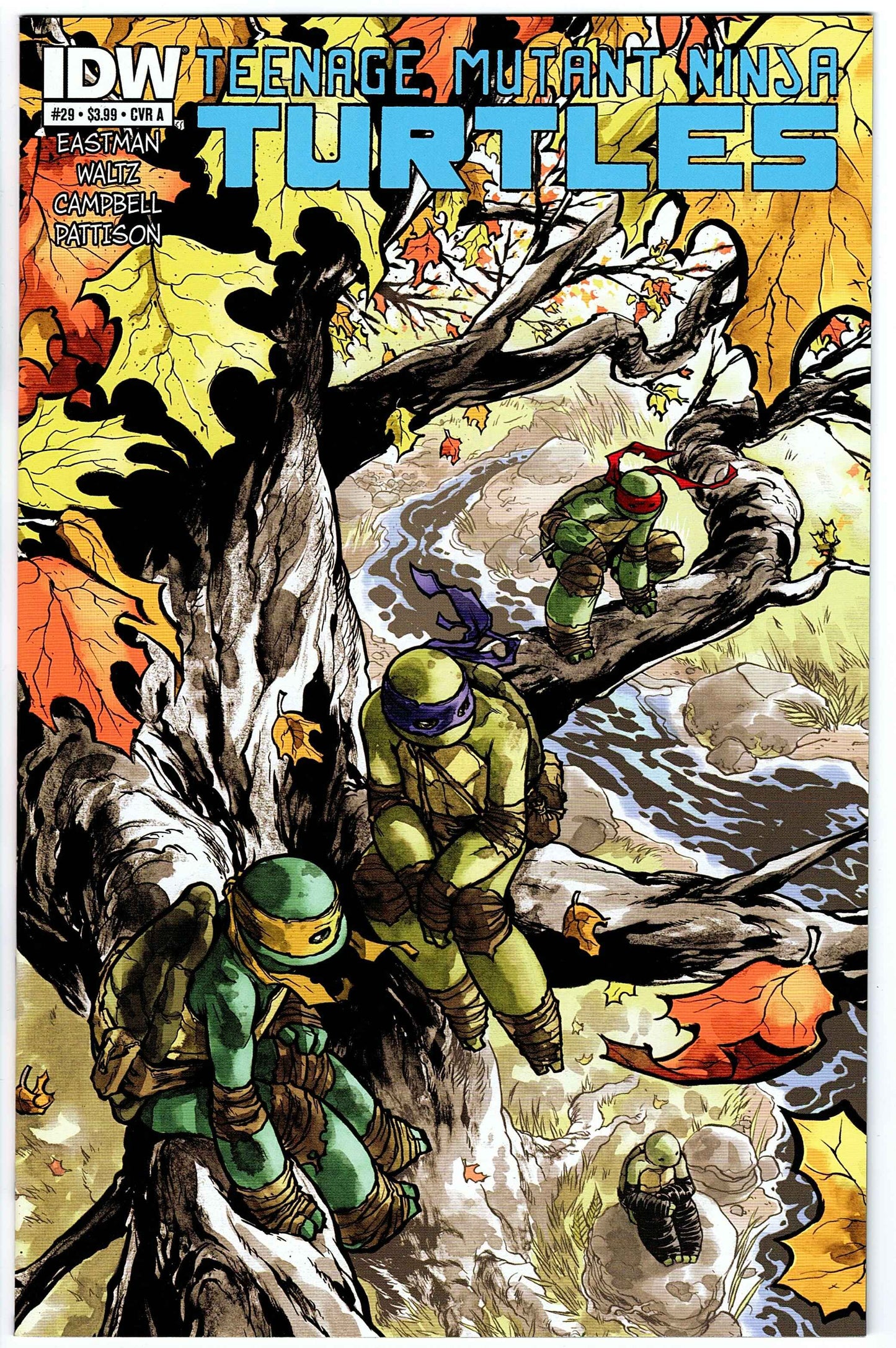 Teenage Mutant Ninja Turtles #29 Cvr A (2011 series)