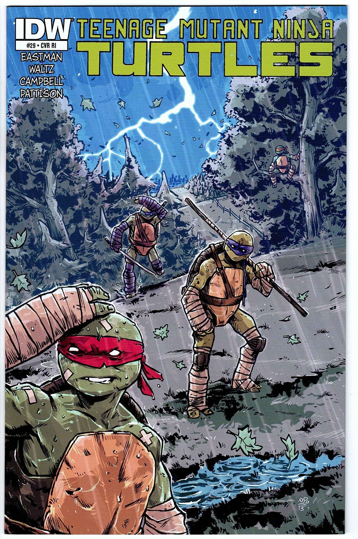 Teenage Mutant Ninja Turtles #29 Cvr RI (2011 series)