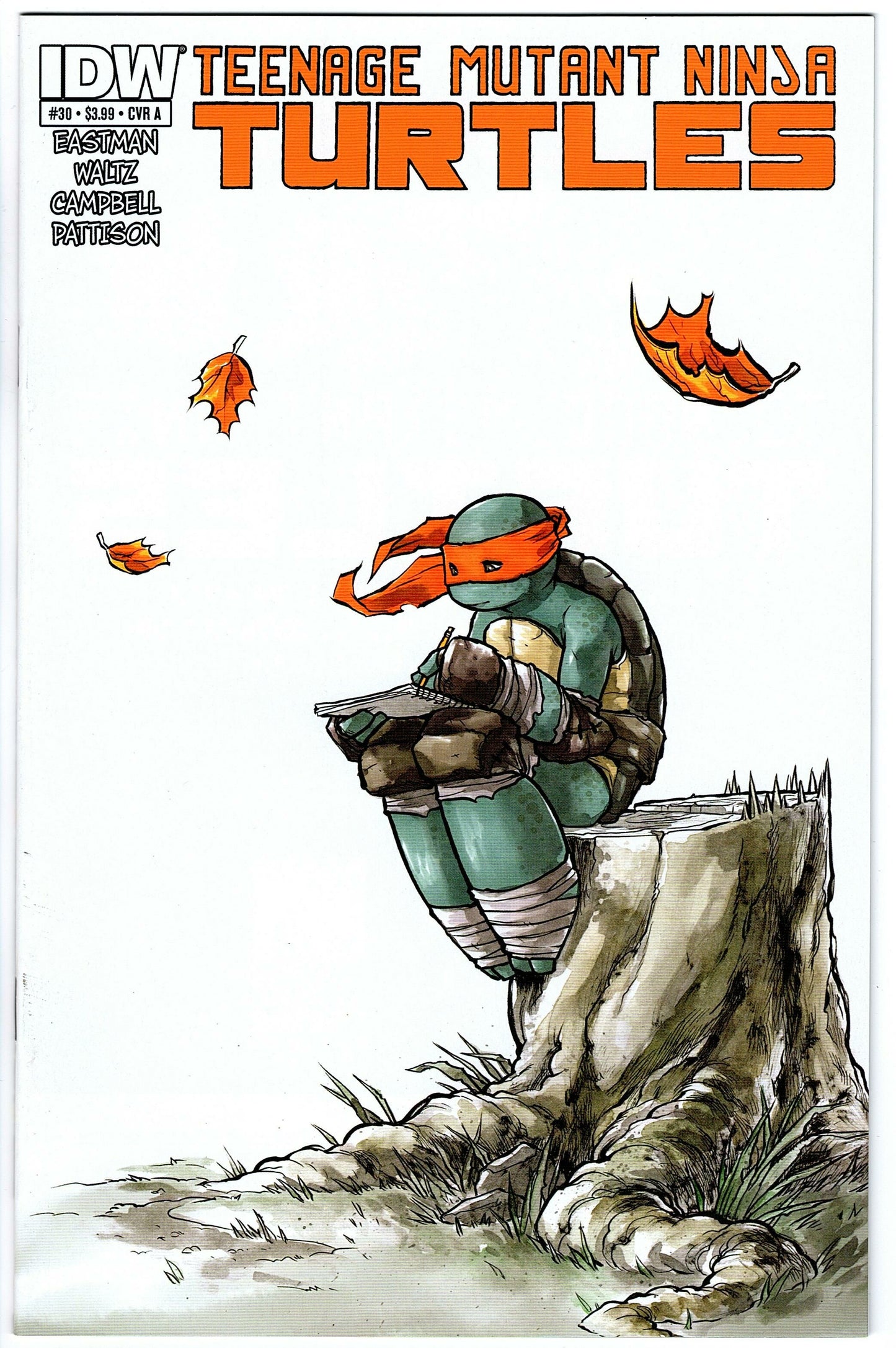 Teenage Mutant Ninja Turtles #30 Cvr A (2011 series)