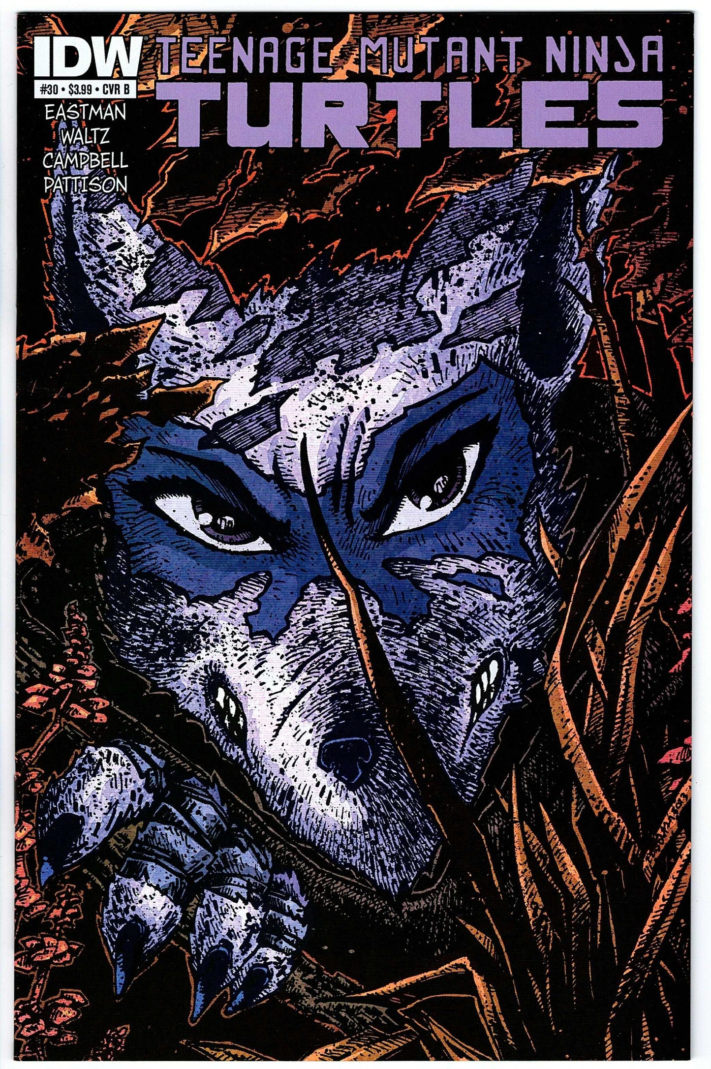 Teenage Mutant Ninja Turtles #30 Cvr B (2011 series)