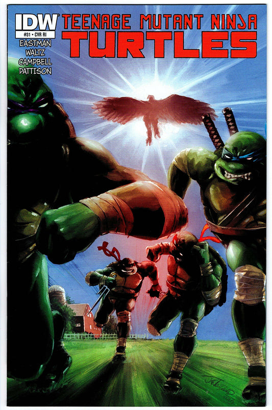 Teenage Mutant Ninja Turtles #31 Cvr RI (2011 series)