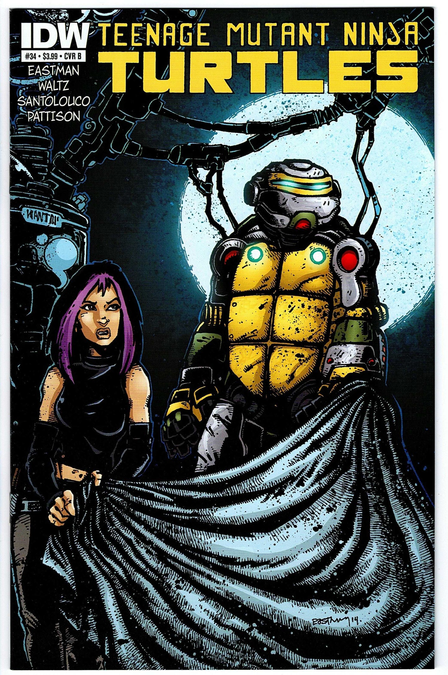 Teenage Mutant Ninja Turtles #34 Cvr B (2011 series)