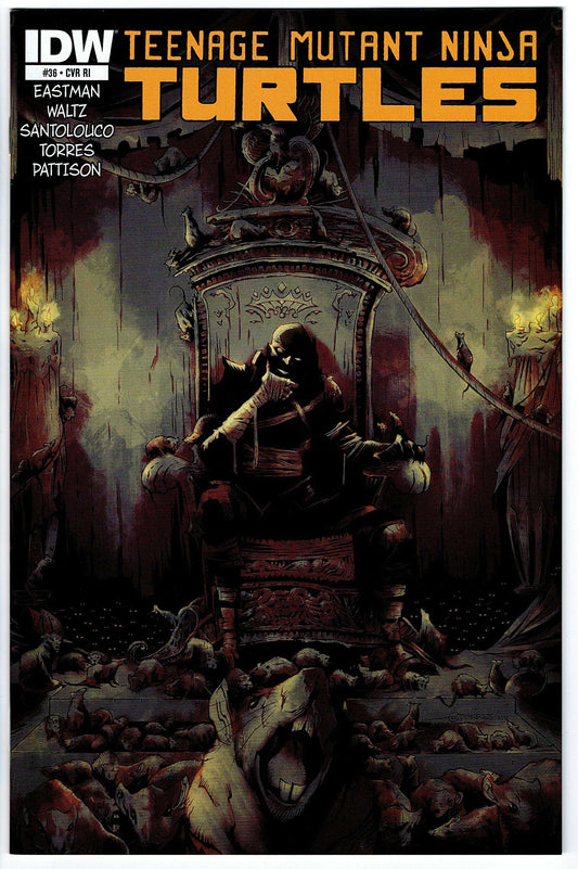 Teenage Mutant Ninja Turtles #36 Cvr RI (2011 series)