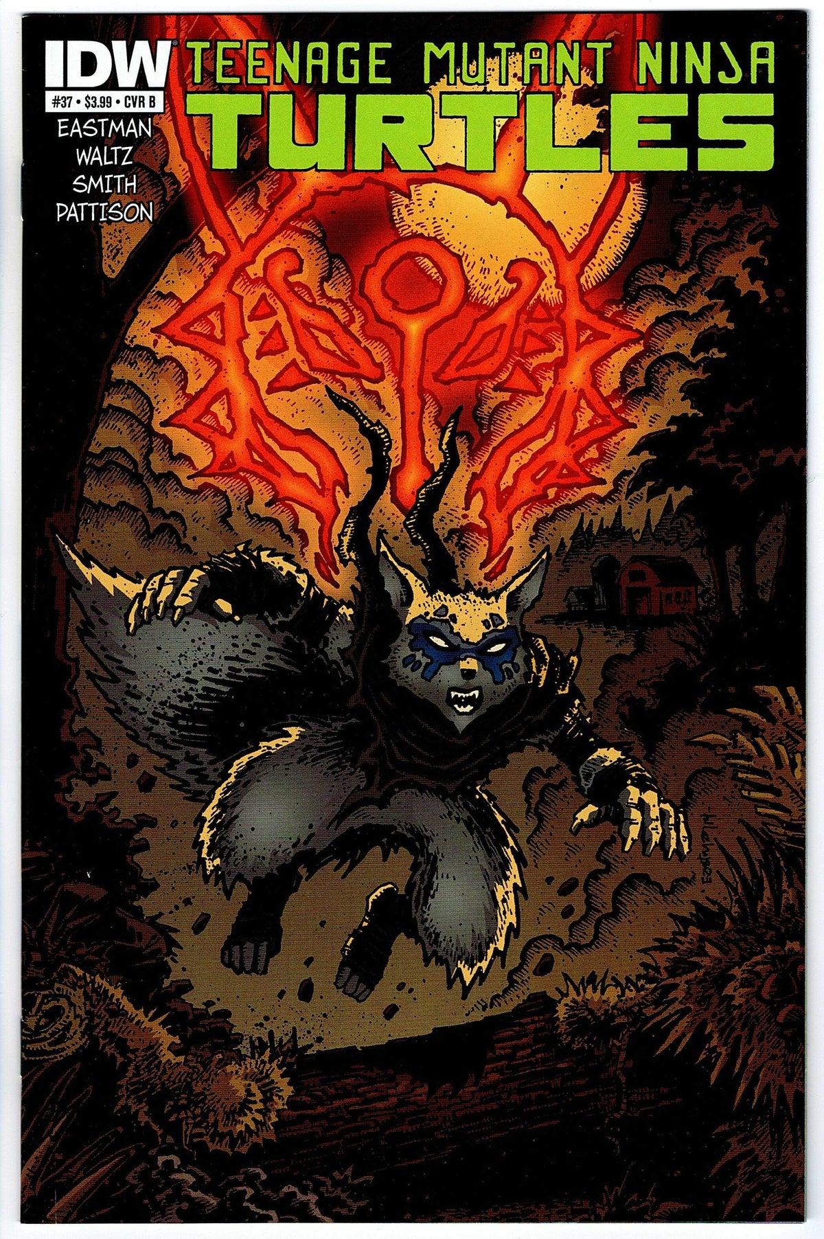 Teenage Mutant Ninja Turtles #37 Cvr B (2011 series)