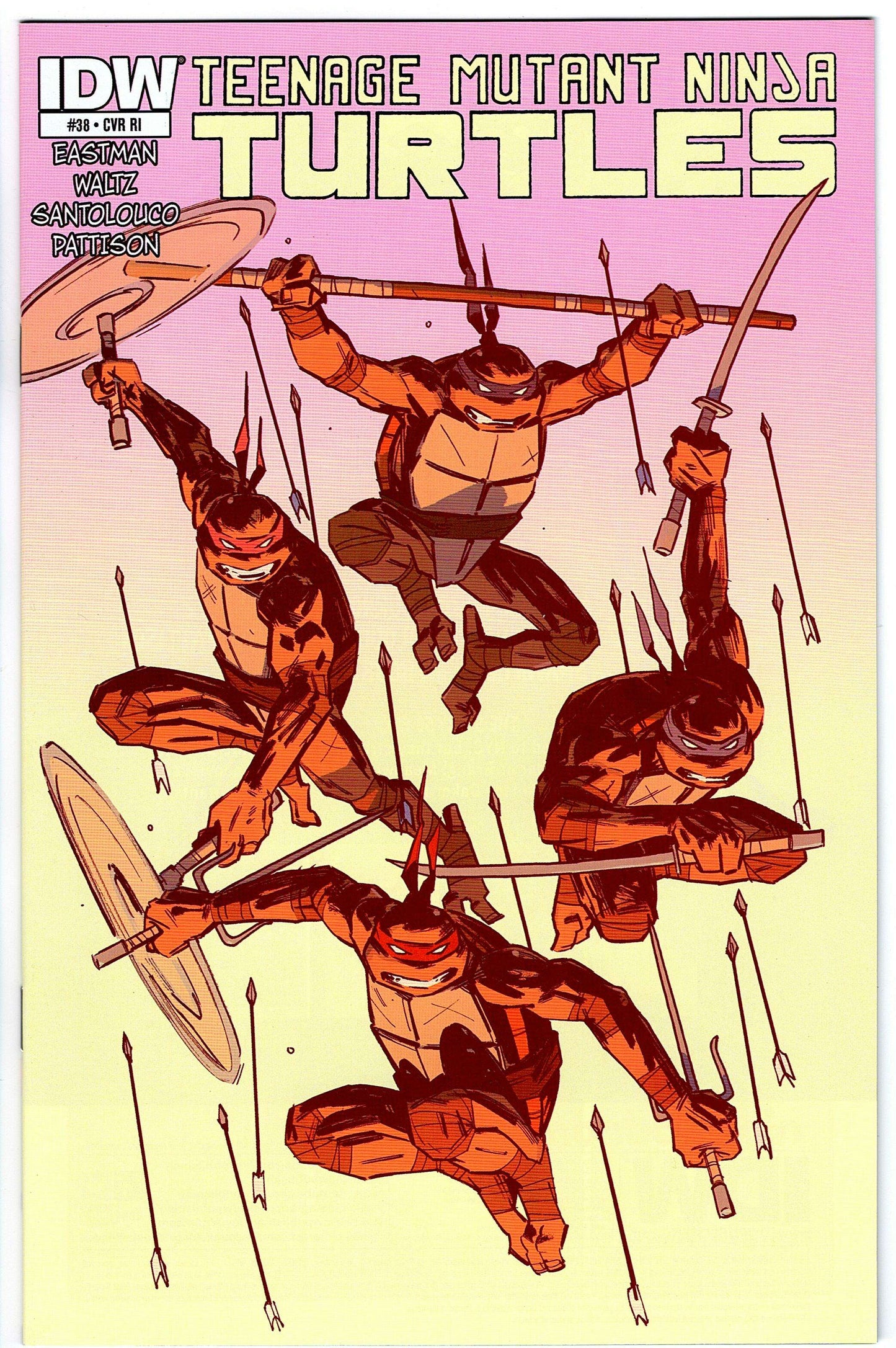 Teenage Mutant Ninja Turtles #38 Cvr RI (2011 series)