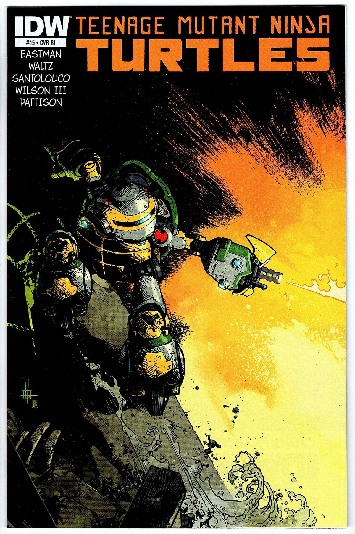 Teenage Mutant Ninja Turtles #45 Cvr RI (2011 series)