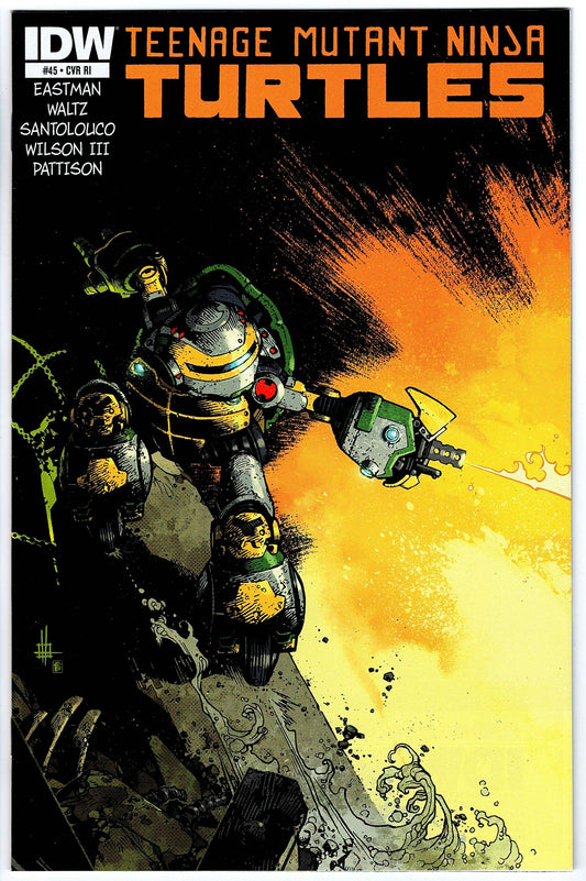Teenage Mutant Ninja Turtles #45 Cvr RI (2011 series)