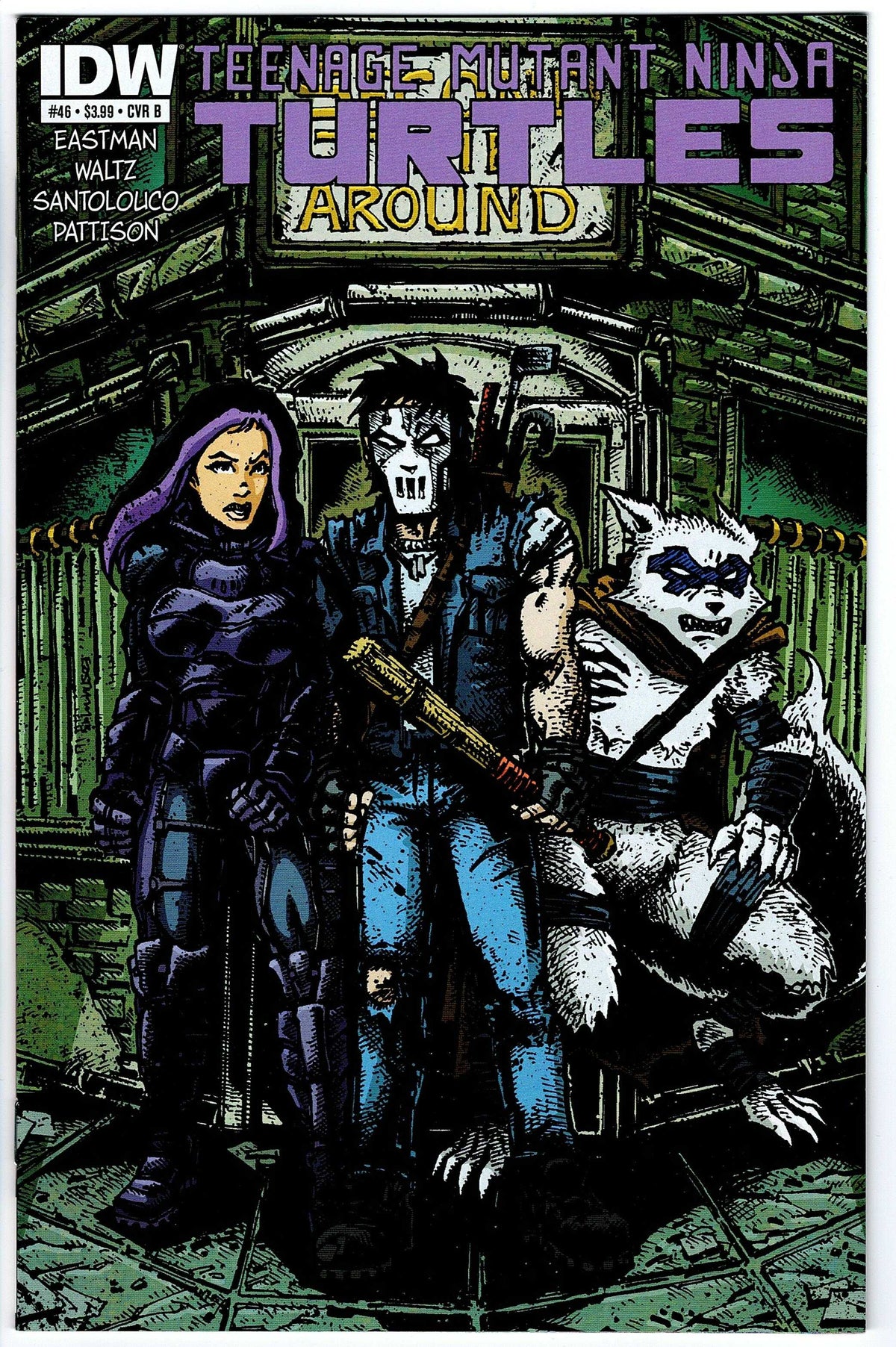 Teenage Mutant Ninja Turtles #46 Cvr B (2011 series)