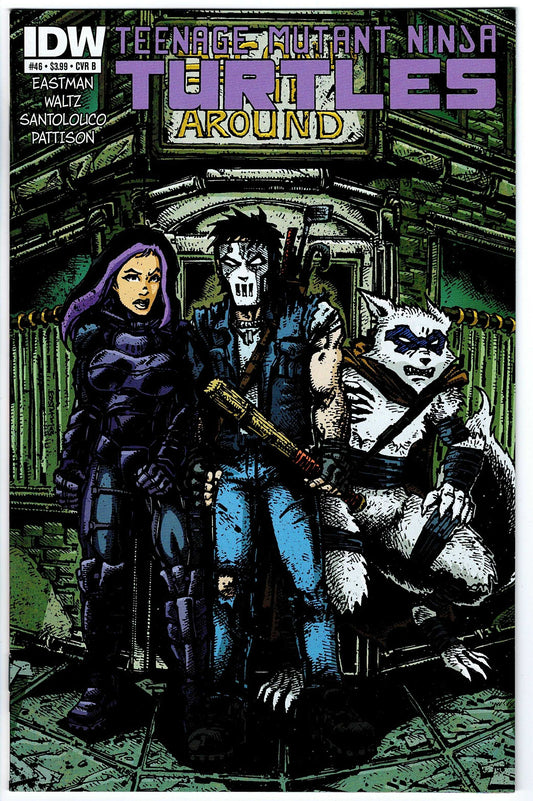 Teenage Mutant Ninja Turtles #46 Cvr B (2011 series)