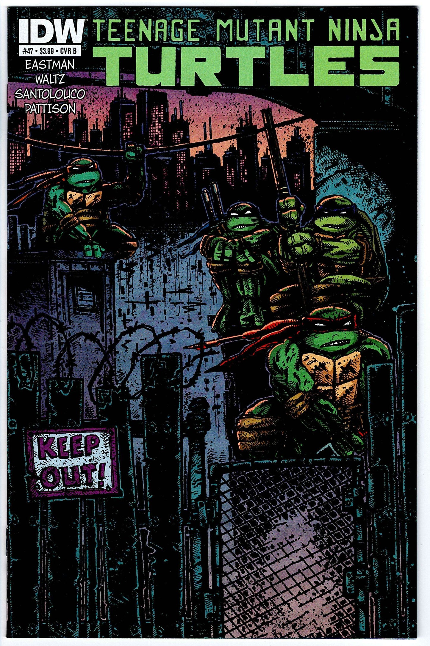 Teenage Mutant Ninja Turtles #47 Cvr B (2011 series)