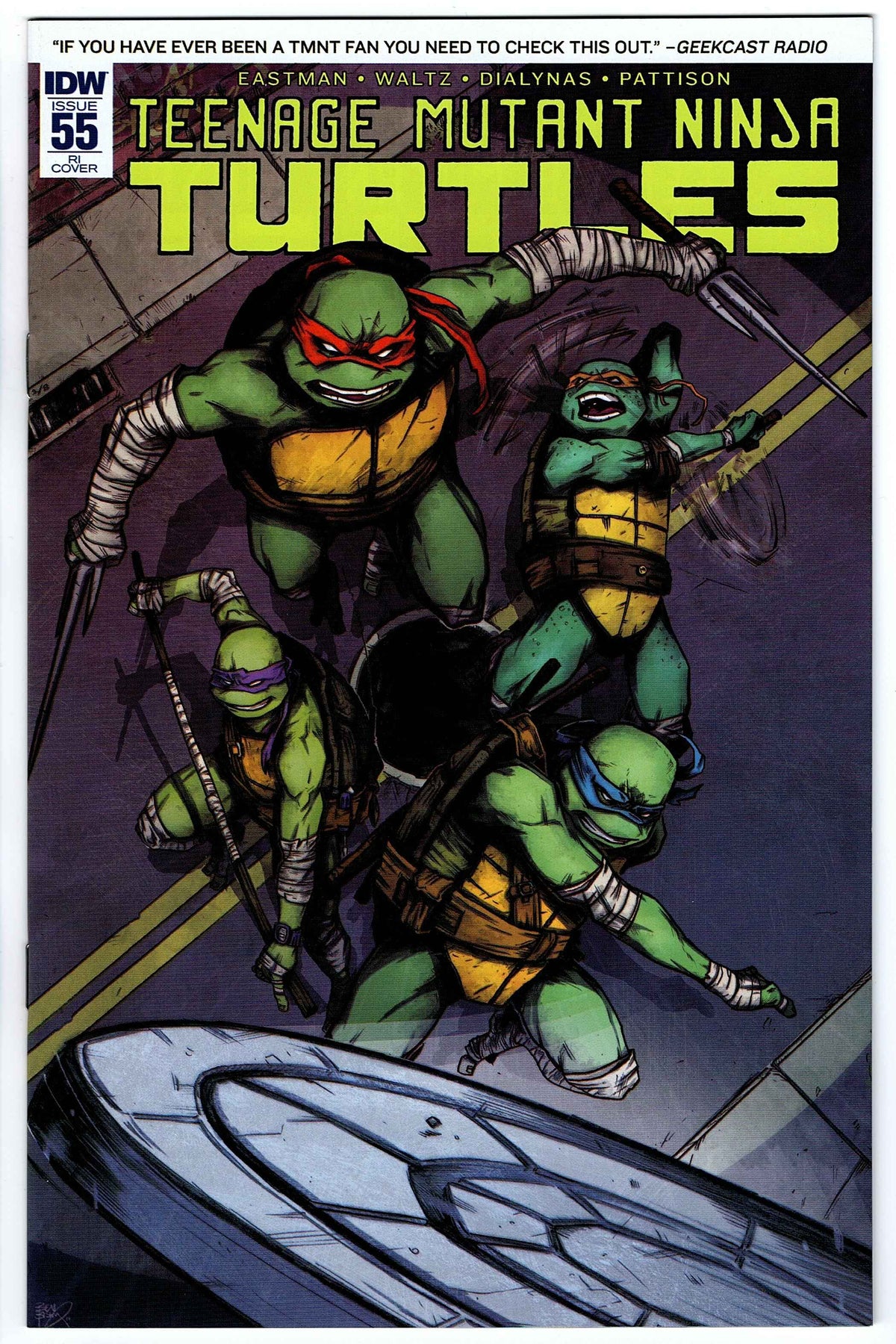 Teenage Mutant Ninja Turtles #55 RI Cover (2011 series)