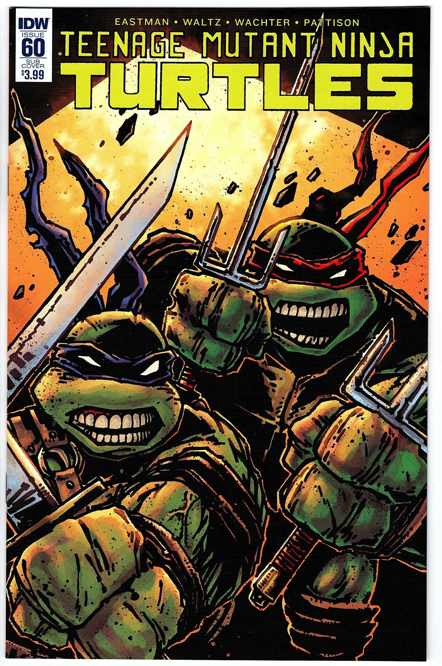 Teenage Mutant Ninja Turtles #60 SUB Cvr (2011 series)