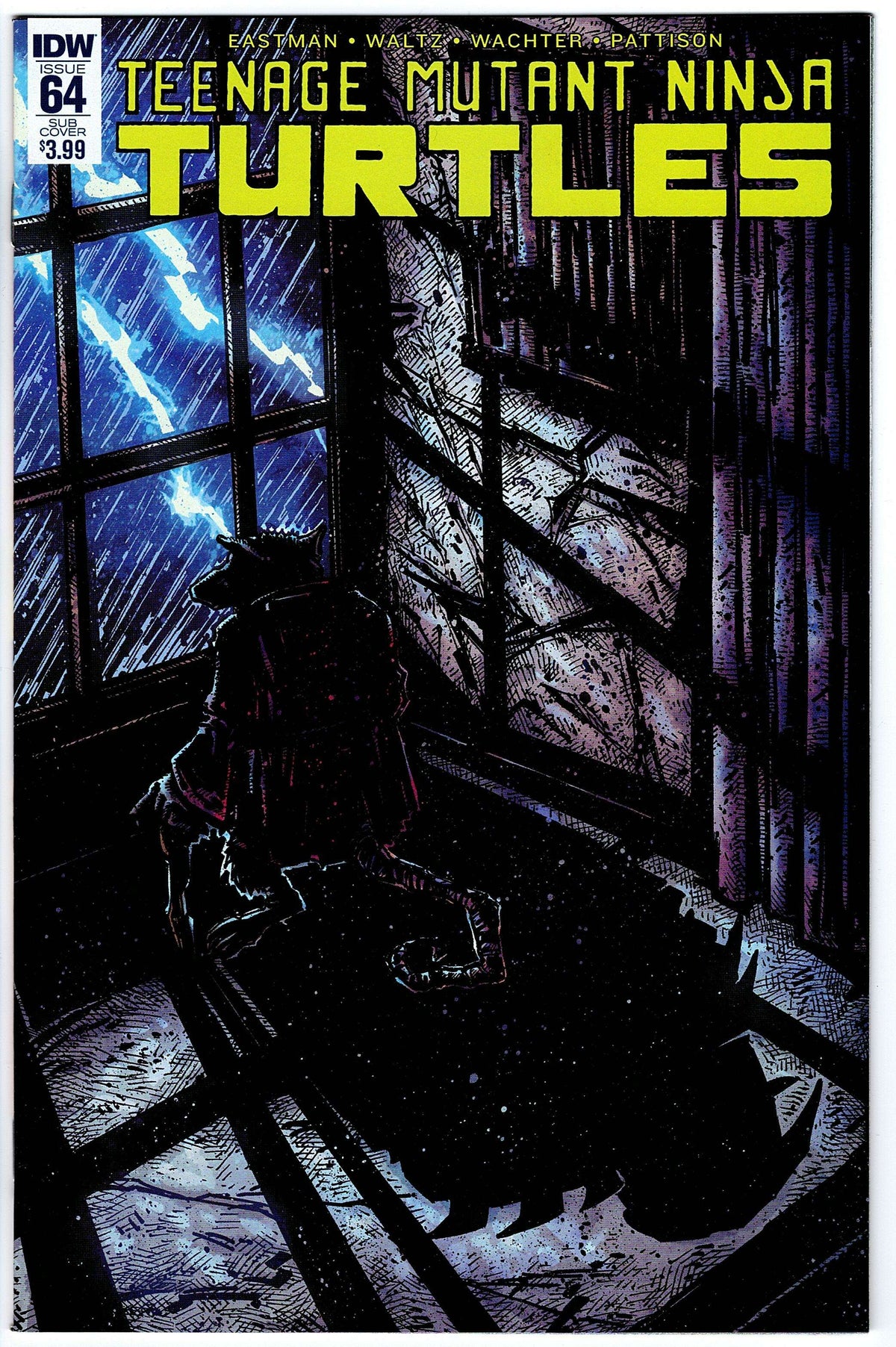 Teenage Mutant Ninja Turtles #64 SUB Cvr (2011 series)