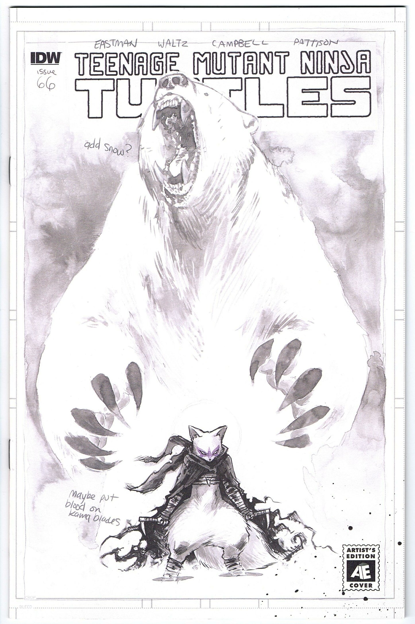 Teenage Mutant Ninja Turtles #66 Cvr B (2011 series)