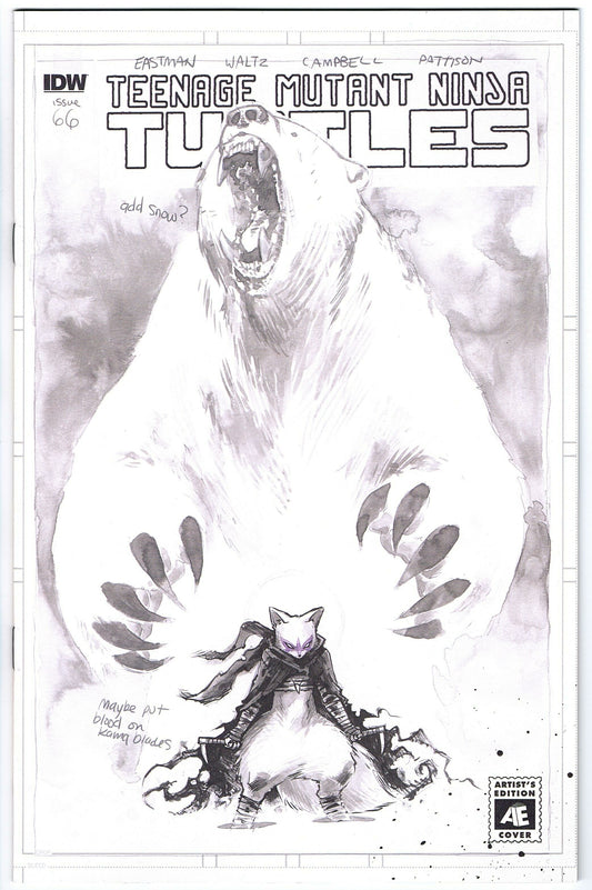 Teenage Mutant Ninja Turtles #66 Cvr B (2011 series)