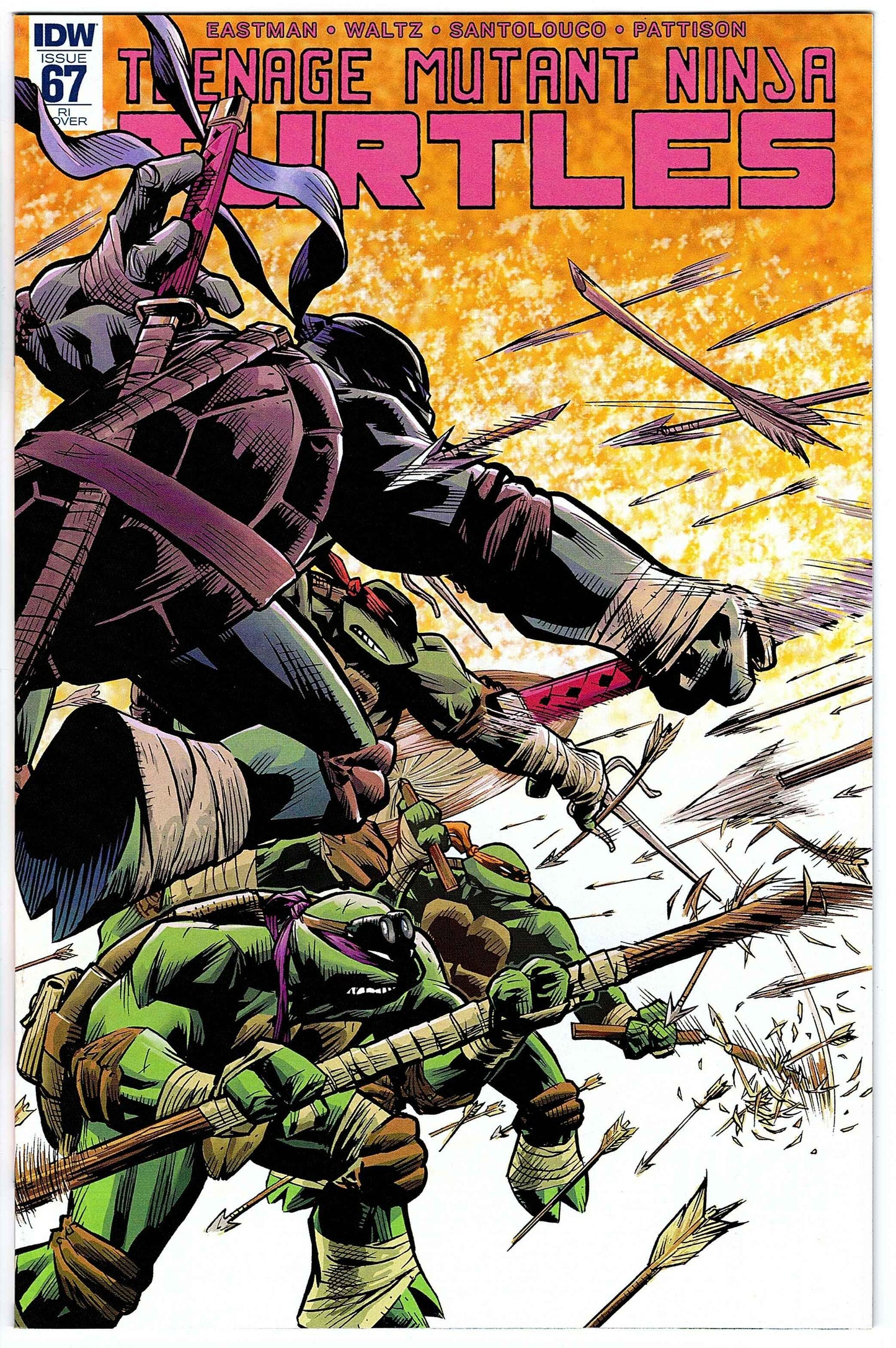 Teenage Mutant Ninja Turtles #67 RI Cvr (2011 series)