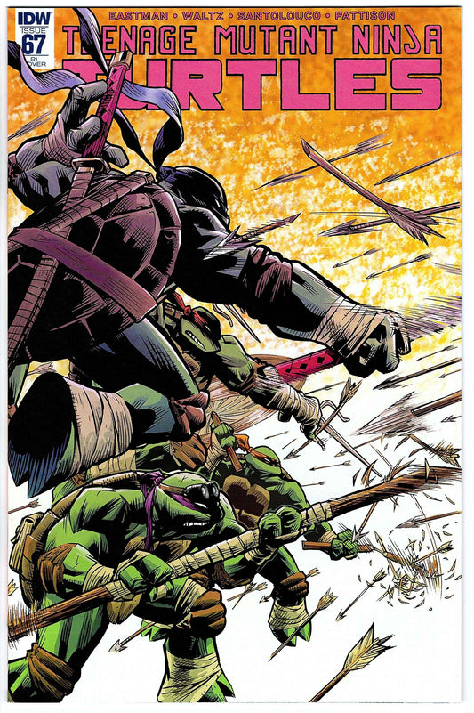 Teenage Mutant Ninja Turtles #67 RI Cvr (2011 series)