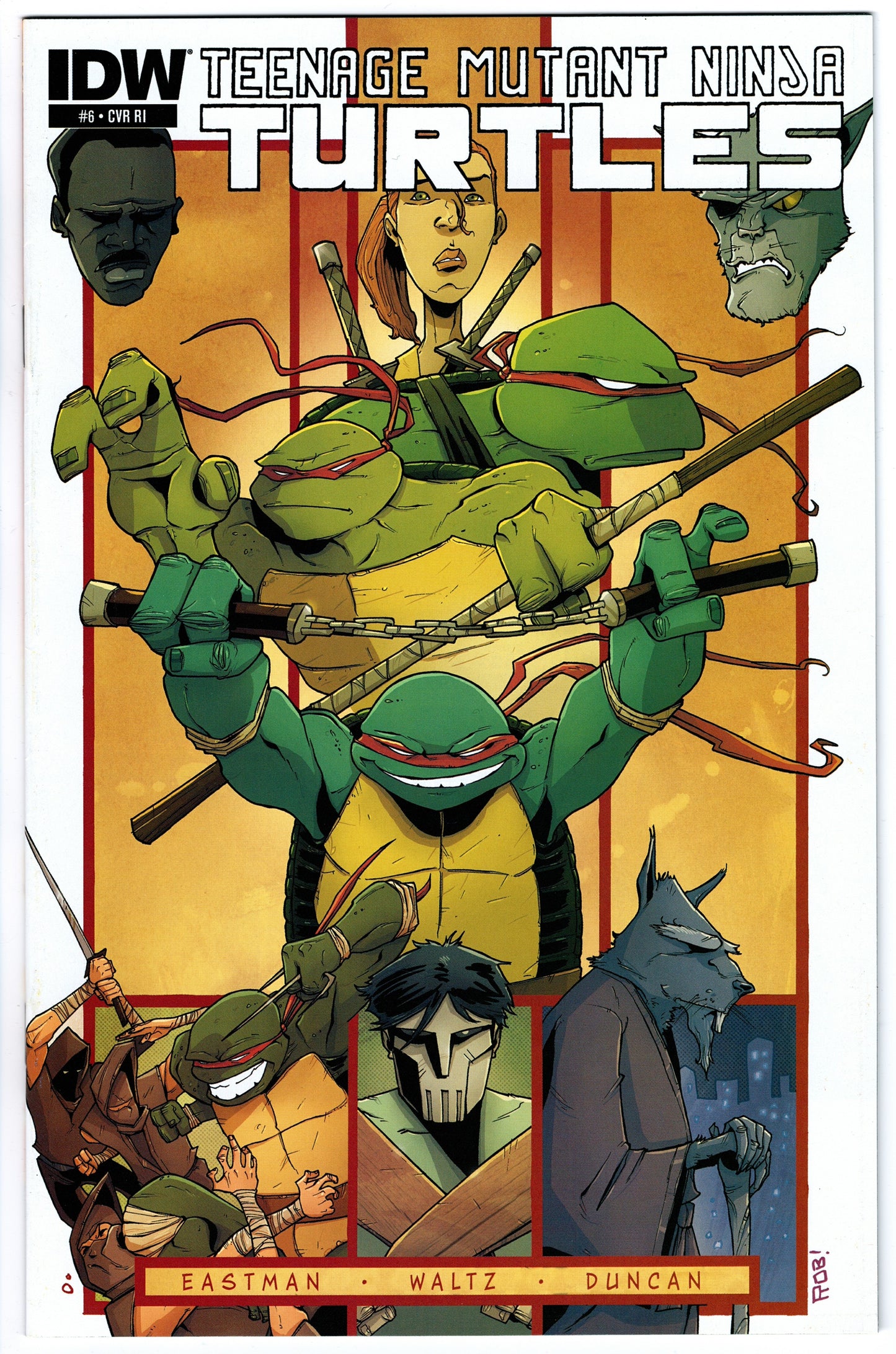 Teenage Mutant Ninja Turtles #6 Cvr RI (2011 series)