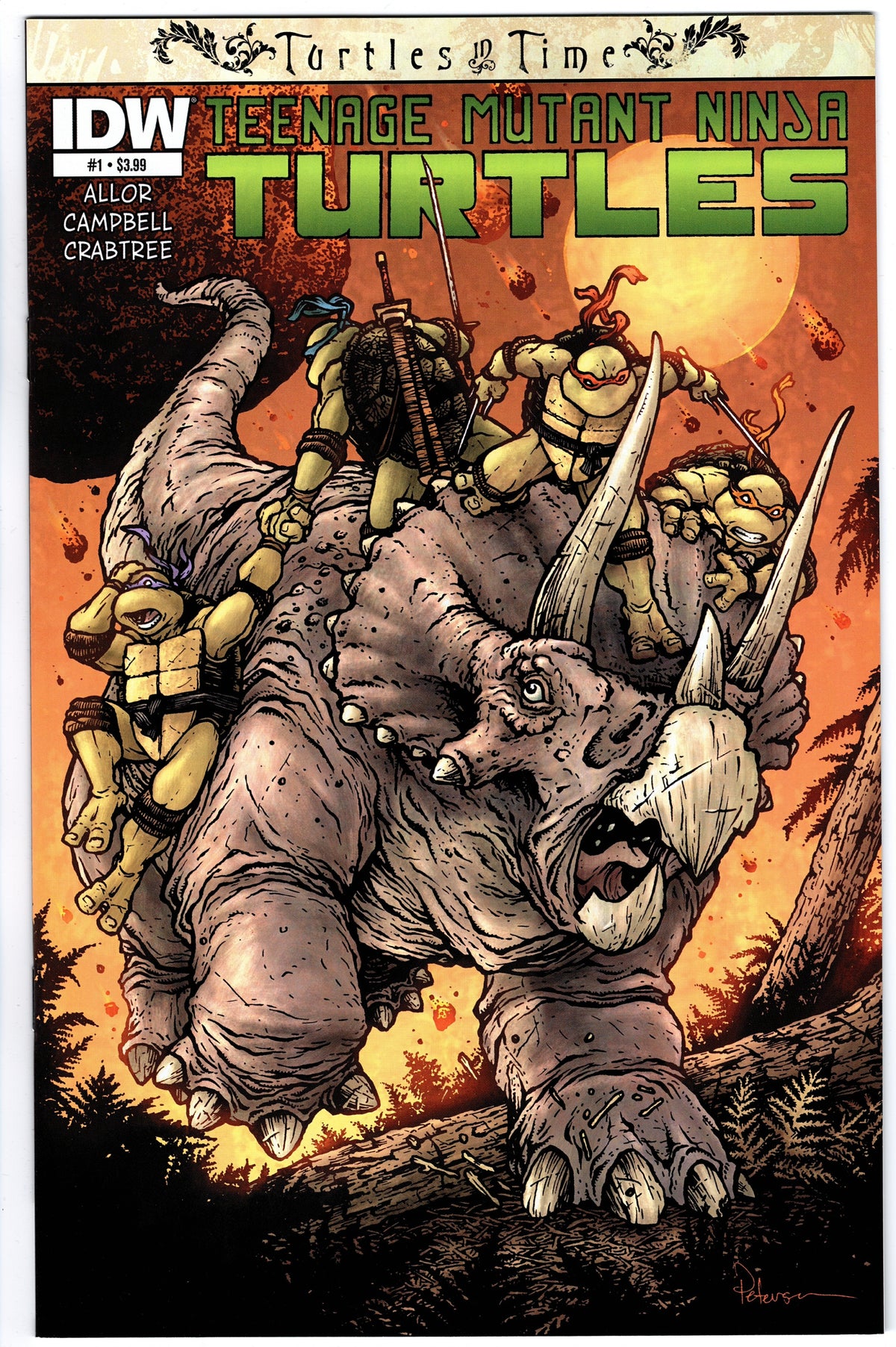 Teenage Mutant Ninja Turtles - Turtles in Time #1